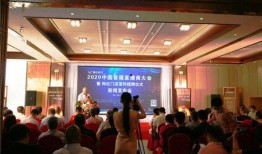 郑州新闻爆料的网红,揭秘网络红人的幕后故事