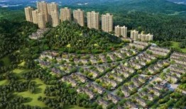 鸿埠园最新爆料新闻,揭秘神秘项目背后的惊人真相